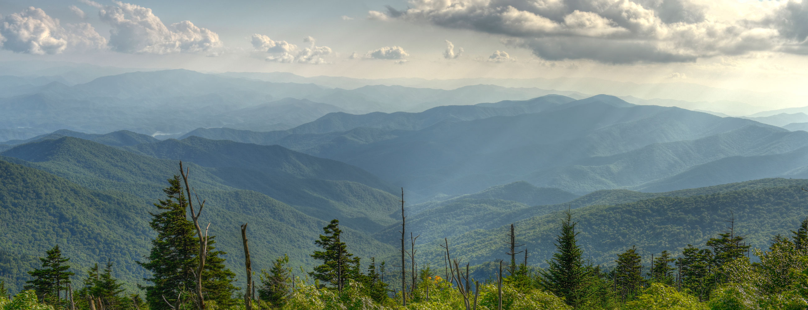 Roots Agrihub MP Nigeria
